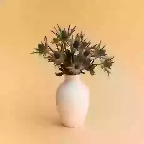 Curvy Vase white 